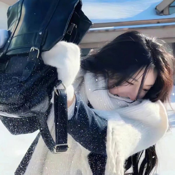 仓鼠与格蕾泰尔