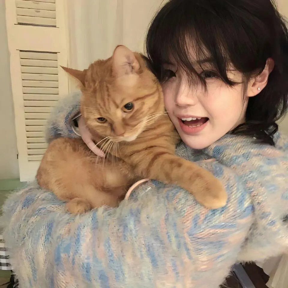 鲁邦三世 暮色双子星的秘密